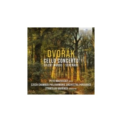 Dvork - Cello Concerto/Silent Woods/Serenade Jewel Case CD – Zboží Mobilmania