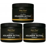 Diet Plan Kolagen Active na 3 měsíce 600 g – Hledejceny.cz