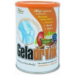 Geladrink Čokoláda revitalizace pohybu 280 g – Hledejceny.cz