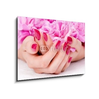 Obraz 1D - 100 x 70 cm - Woman cupped hands with manicure holding a pink flower Žena s rukama rukou s manikúrou držící růžový květ