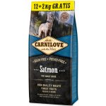 Carnilove Dog Salmon for Adult NEW 14 kg