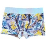 Boy Time 275 chlapecké boxerky modrá světlá – Hledejceny.cz