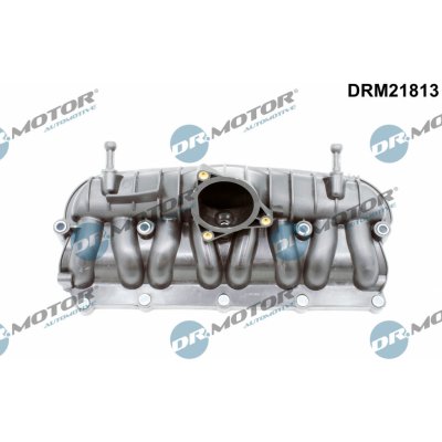 Dr.Motor Automotive DRM21813 – Hledejceny.cz