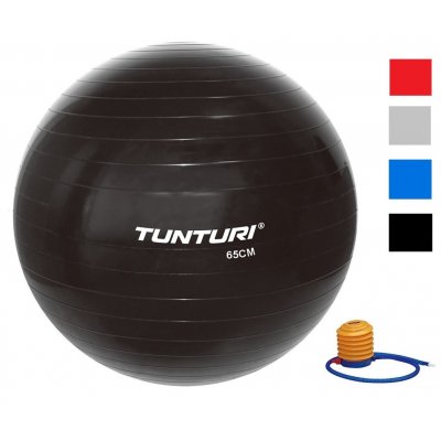 TUNTURI GymBall s pumpičkou 55 cm – Hledejceny.cz