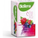 Biogena Ovocné čaje Fantastic Tea Lesní plody 20 x 2.2 g