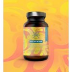 Herbalus Bystrý mozek 60 kapslí – Hledejceny.cz