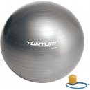 TUNTURI GymBall s pumpičkou 65 cm