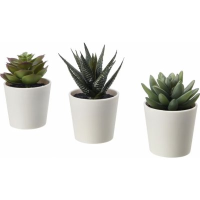 Ikea Umělá rostlina v květináč Sukulenty 3 ks, 12 cm – Zbozi.Blesk.cz