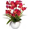 Květina Orchidej Můrovec červeno řůžová v květináči, 58cm
