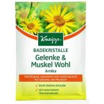 Kneipp Arnika sůl do koupele 60 g – Hledejceny.cz