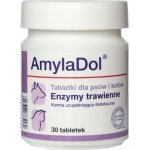 Dolfos Amyladol - trávicí enzymy 90 tbl – Zboží Mobilmania