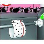 Manžeta lepová na mouchy balení 10 ks – Hledejceny.cz