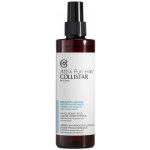 Collistar Hydratační kondicionér s kyselinou hyaluronovou Attivi Puri Hyaluronic Acid Liquid Conditioner 200 ml – Hledejceny.cz