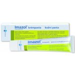 IMAZOL KRÉMPASTA DRM 10MG/G DRM PST 1X30G – Sleviste.cz