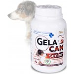 Orling Gelacan Senior prášek 150 g – Hledejceny.cz