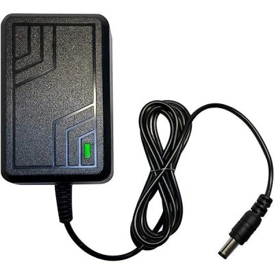 Mamido Nabíječka na elektrická vozítka 24V1000MA s LED diodou – Sleviste.cz