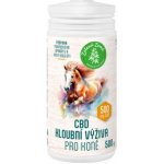 Zelená Země Kloubní výživa pro koně s CBD 2 kg – Zboží Dáma