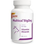 Dolfos Multical BigDog vitamíny pro velká plemena psů 90 tbl – Hledejceny.cz