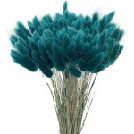 120 ks sušené pampasové trávy, dekorace – Zboží Dáma