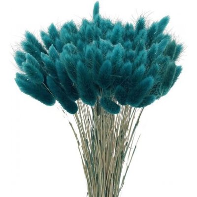 120 ks sušené pampasové trávy, dekorace – Zboží Dáma