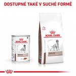 Royal Canin Veterinary Diet Dog Hepatic 420 g – Zboží Mobilmania