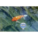 TFA 30.3066.01 Marabella – Zboží Dáma