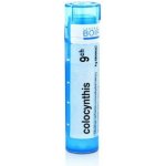 COLOCYNTHIS POR 9CH GRA 1X4G – Hledejceny.cz
