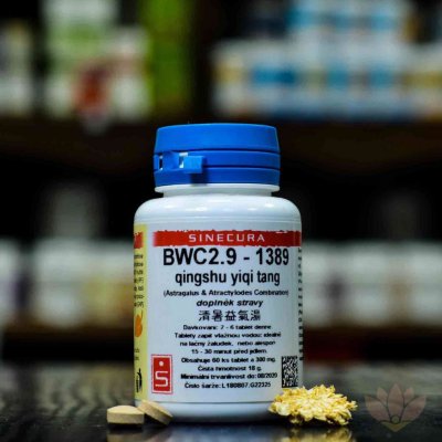 Sinecura BWC2.9 1389 60 tablet – Hledejceny.cz