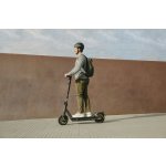 Ninebot by Segway KickScooter MAX G2 E – Zboží Živě