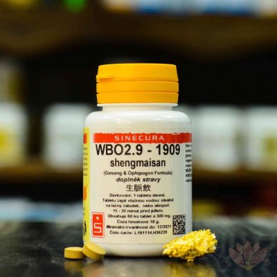 Sinecura WBO2.9-1909 60 tablet – Hledejceny.cz