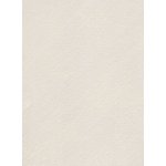 HET Brillant Metallico 1 L BM 212 CHAMPAGNE BEIGE – Zboží Mobilmania