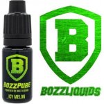 Bozz Pure Icy Melon 10 ml – Zboží Dáma