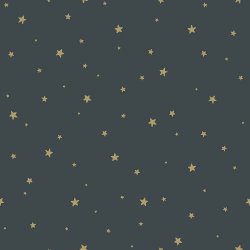 Esta Home 139261 Šedomodrá vliesová tapeta se zlatými hvězdičkami rozměry 0,53 x 10,05 m
