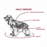 Sam's Field Low Grain Adult Medium Chicken & Potato 13 kg – Zboží Mobilmania