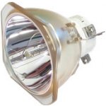 Lampa pro projektor NEC NP42LP (100014502), originální lampa bez modulu – Zboží Živě