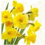 Paw ubrousky L Yellow daffodils 33x33cm – Hledejceny.cz