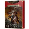 Příslušenství ke společenským hrám GW Warhammer Age of Sigmar Warscroll Cards Sons of Behemat