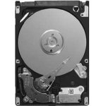 Hitachi Travelstar Z5K320 320GB, 2,5", SATA, 5400rpm, 8MB, HTS543232A7A384 – Hledejceny.cz