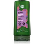 Yves Rocher Kondicionér na kudrnaté vlasy 200 ml – Zboží Dáma