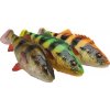 Návnada a nástraha Savage Gear 4D Perch Shad 12,5cm 23g Albino