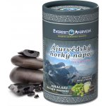 Everesr Ayrveda Ájurvédský horký nápoj Amalaki shilajit mumio 100 g – Hledejceny.cz