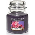 Yankee Candle Black Plum Blossom 411 g – Zbozi.Blesk.cz