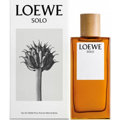 Loewe Solo Man toaletní voda pánská 100 ml
