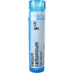 KALIUM CARBONICUM POR 30CH GRA 1X4G – Hledejceny.cz