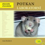 Potkan laboratorní – Hledejceny.cz