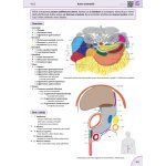 Memorix anatomie - 6. české vydání – Zboží Dáma Memorix anatomie - 6. české vydání – Zboží Dáma