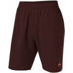 Crivit pánské chladivé funkční kraťasy – Zboží Dáma