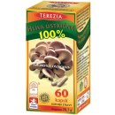 Terezia Company Hlíva ústřičná 60 tablet