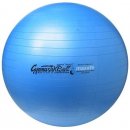 Ledragomma Gymnastik Ball Maxafe 65cm