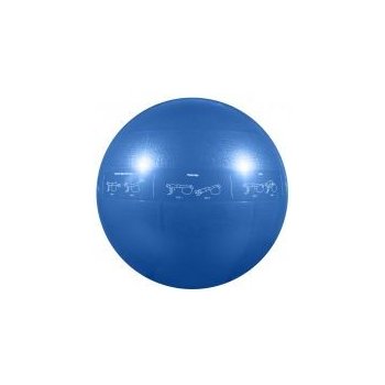 GoFit Pro ball 55